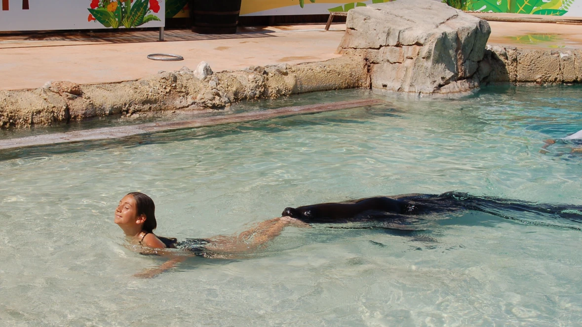 SWIM WITH SEA LIONS